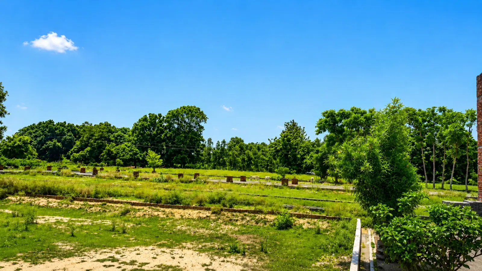 Investment Plot Near Itaunja Lucknow