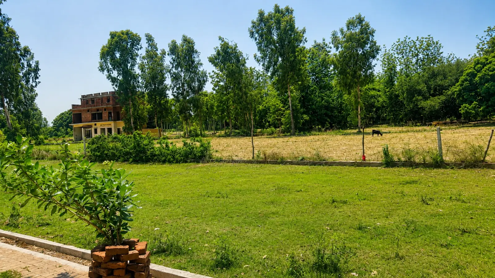 Residential Plot on Sitapur Road Lucknow